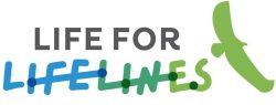Life for lifelines Logo