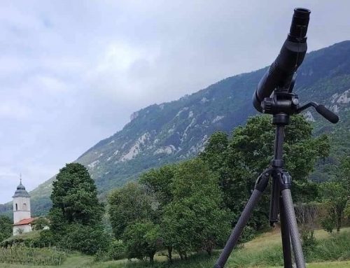 Monitoring preleta ujed že poteka!